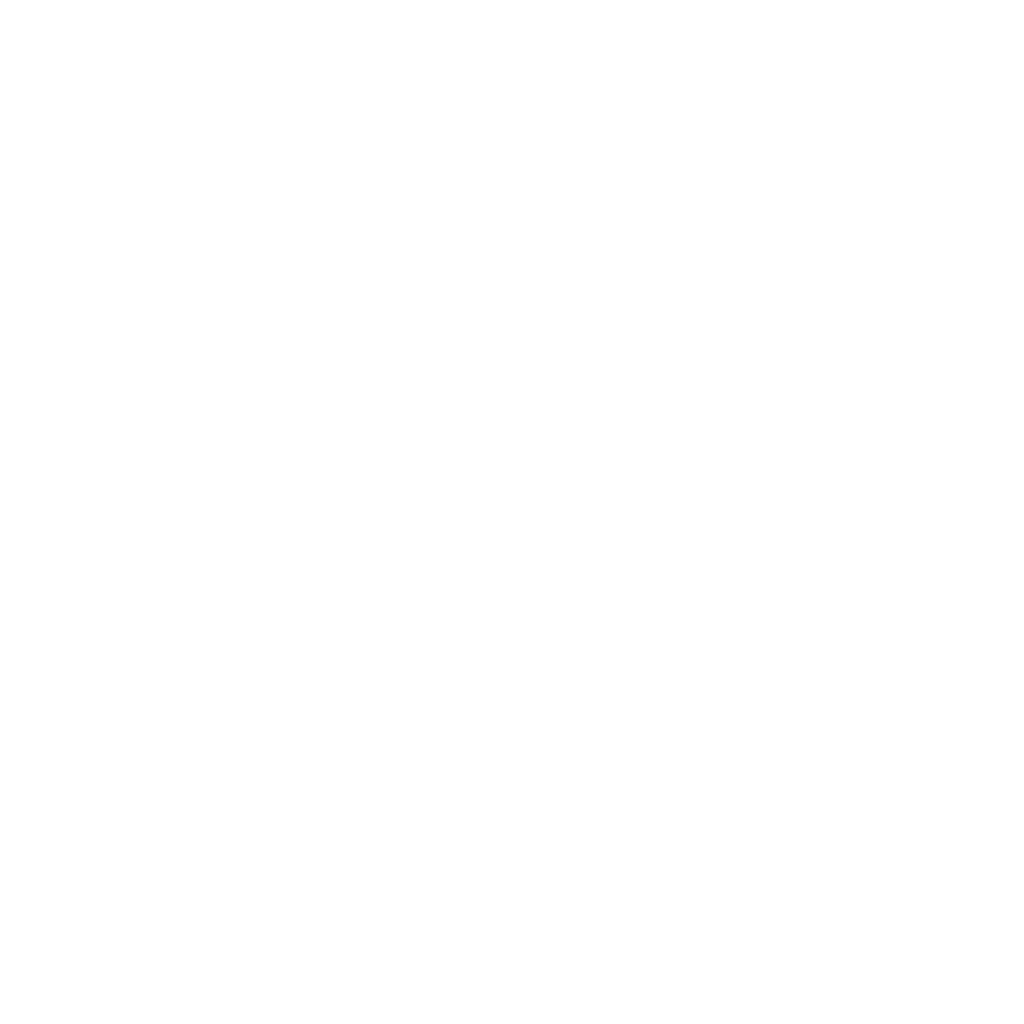 Texans For Strong Borders